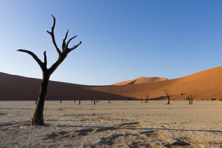 Sossusvlei: Journey to the Heart of the Namib Desert