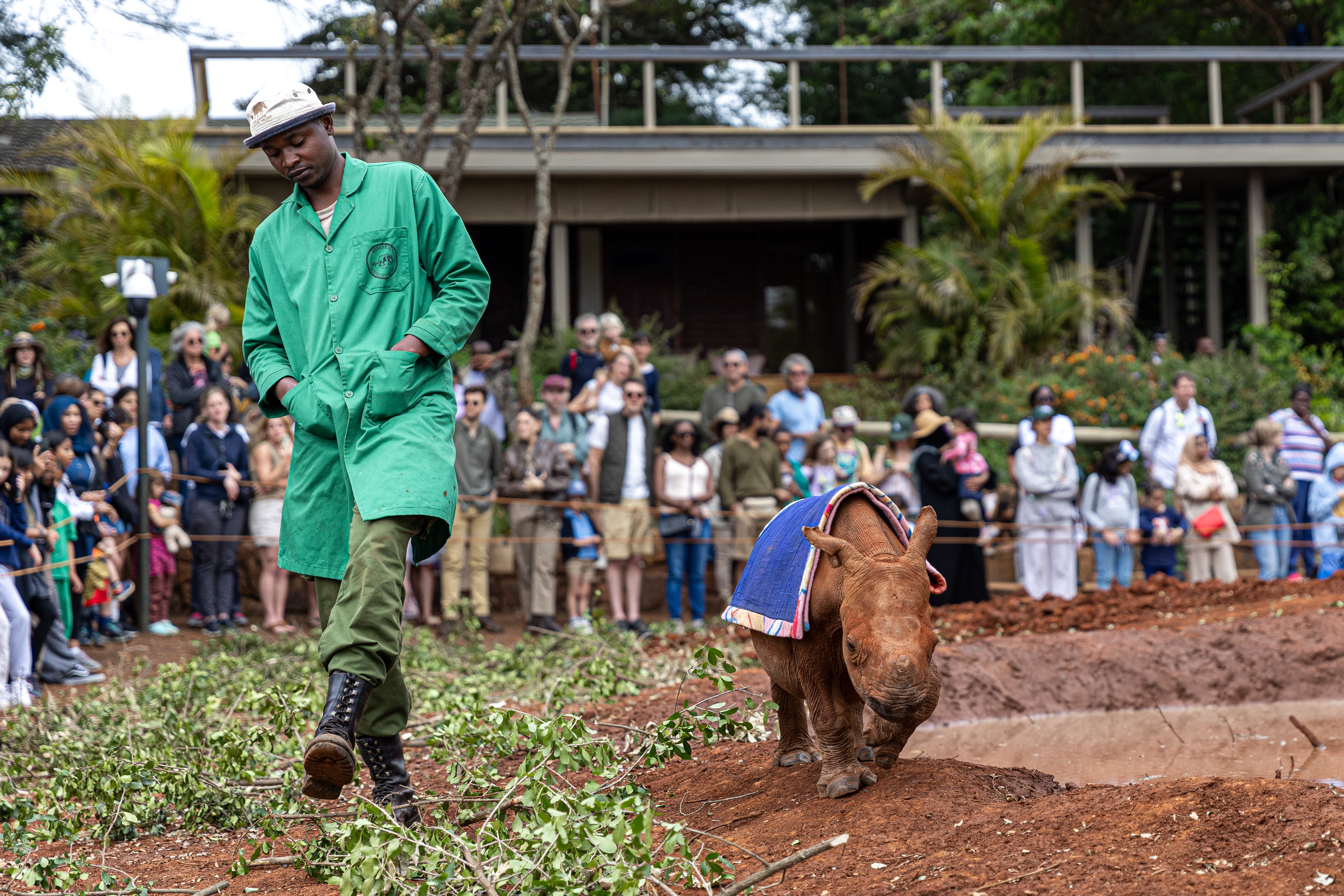 Elephants and Hope: A Visit to Nairobi’s Sheldrick Wildlife Trust