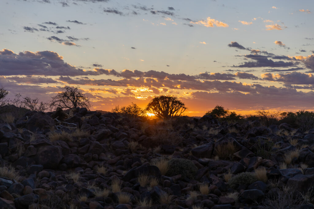 Sunrise and Quiver Trees, Namibia - Photo Credit: Nathan