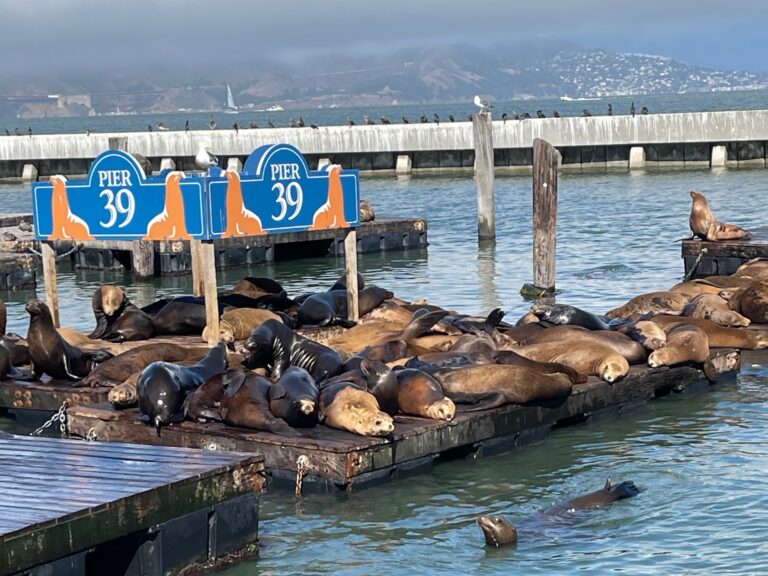 Fisherman’s Wharf