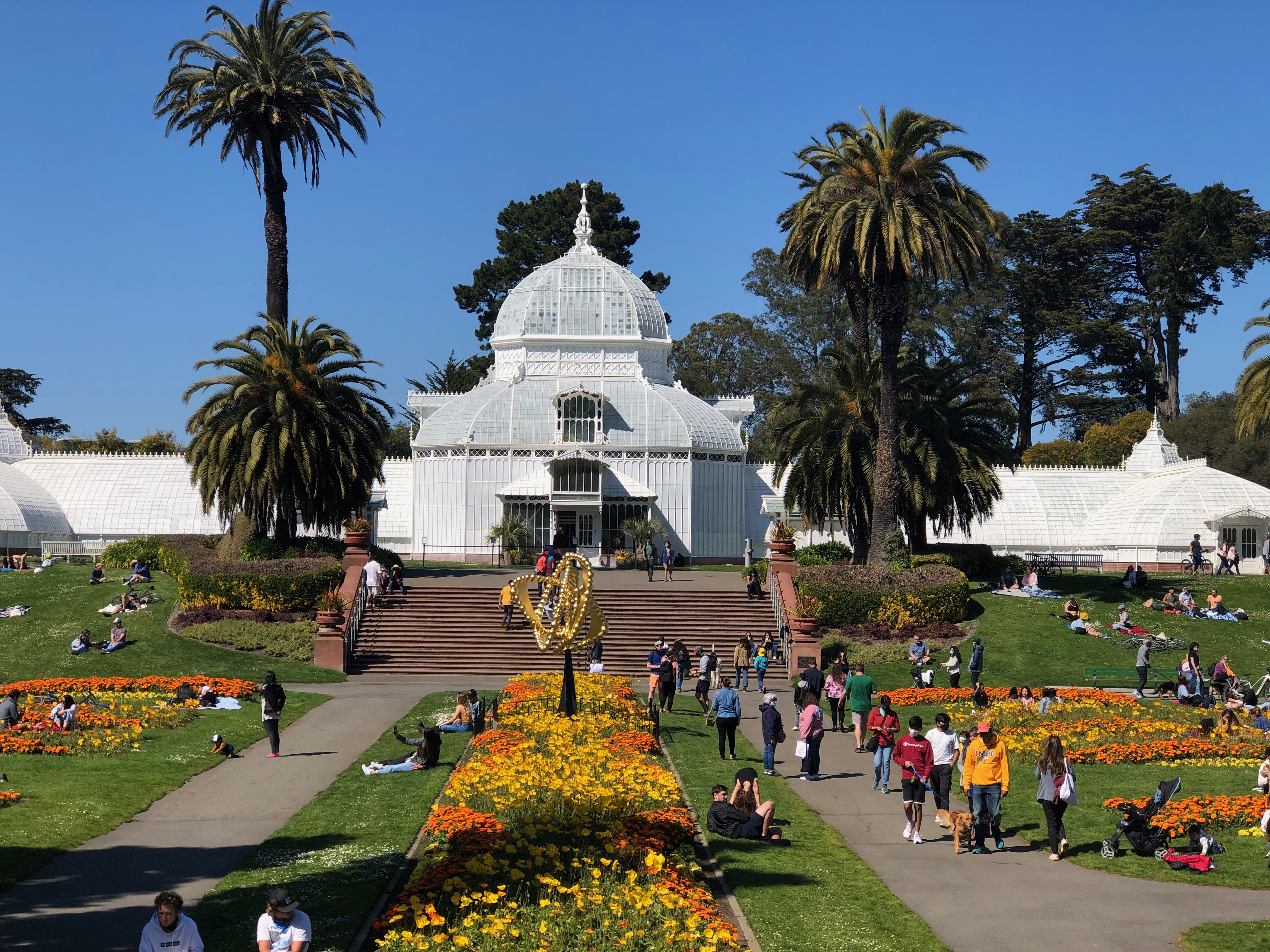 Golden Gate Park: What You Need To Know