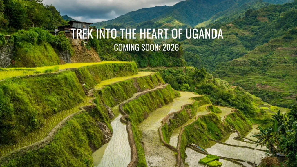 Terraced green hills in Uganda beneath cloudy skies promoting 2026 trekking adventure launch.