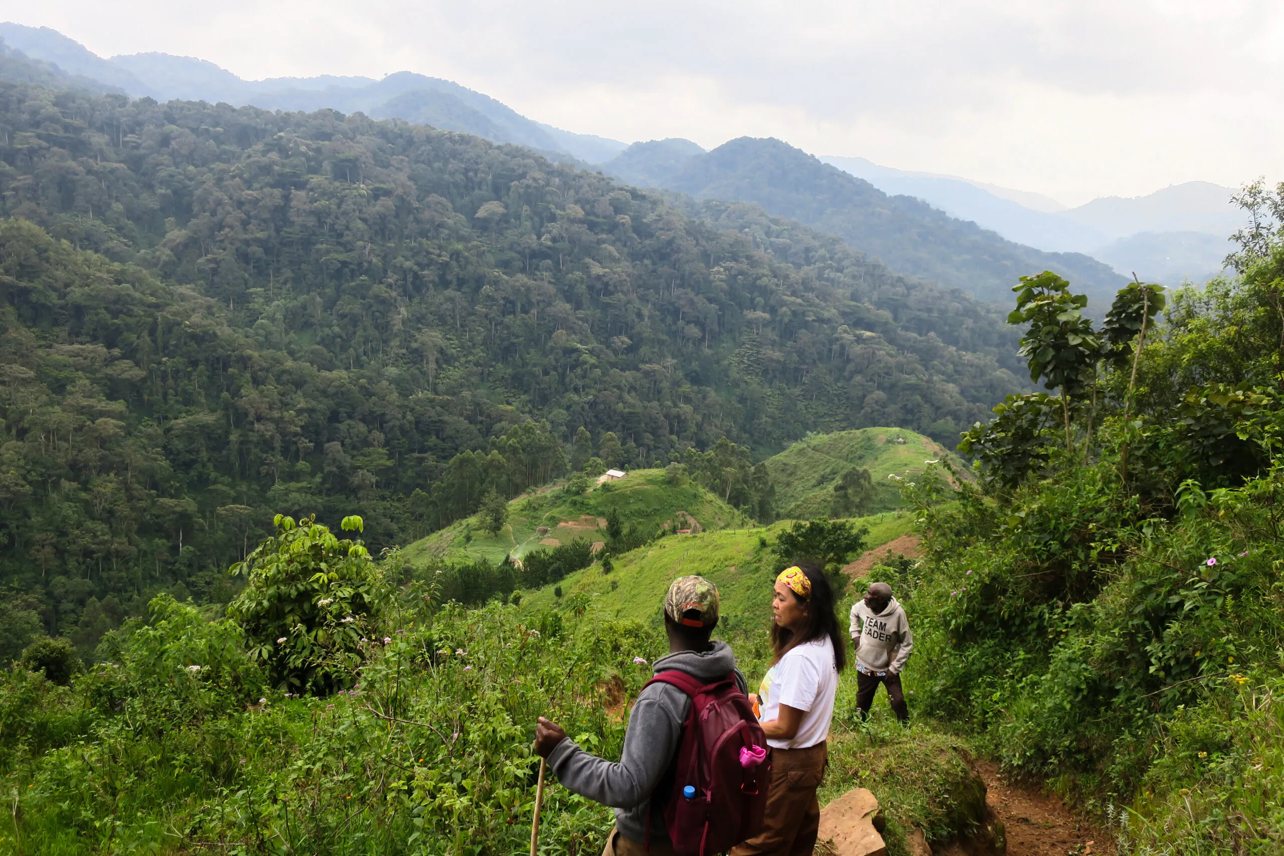 Hikers on green hillside trail overlooking forested valley and mountains.