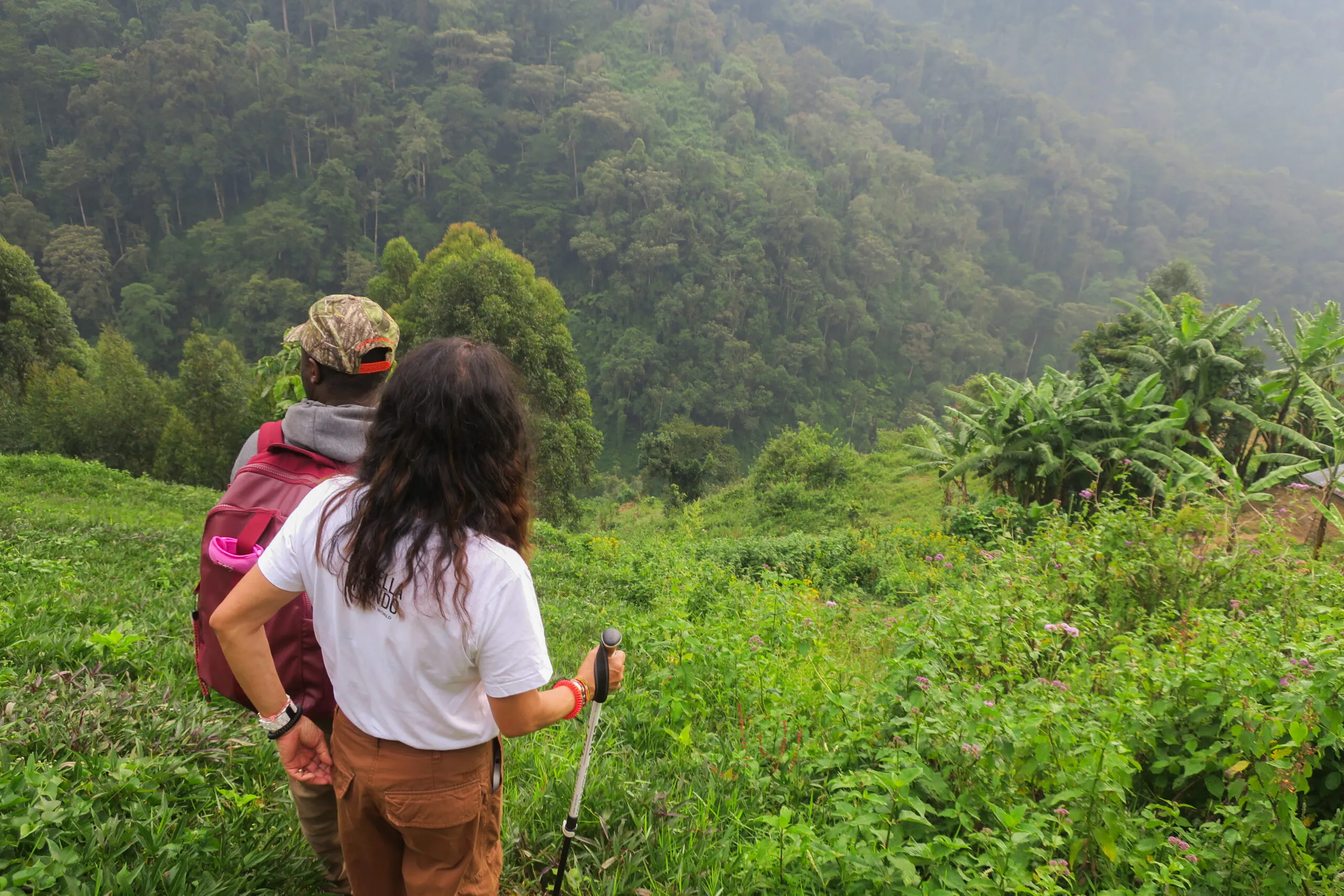 Two hikers on grassy hill overlooking lush green forest valley, adventurous serene landscape.