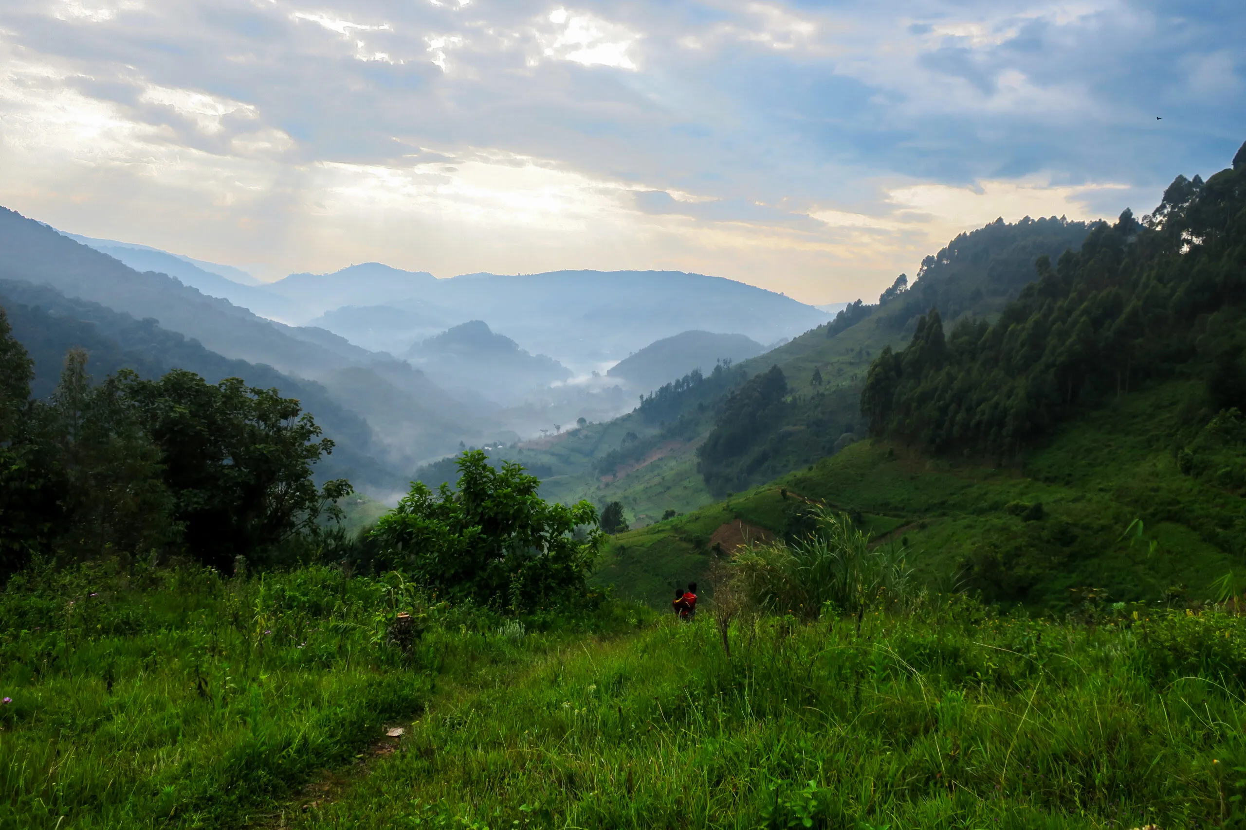 Serene mountain landscape at dawn with misty valley and soft sunlight.