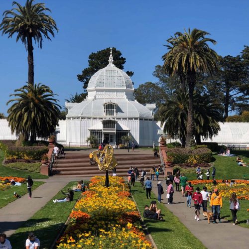 Golden Gate Park: What You Need To Know