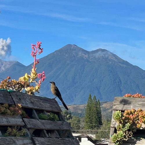 Climbing Into the Clouds: A Christmas Eve Adventure in Guatemala