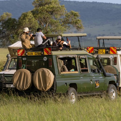 The Ultimate Safari: Comparing Stays at Masai Mara and Naboisho Conservancy