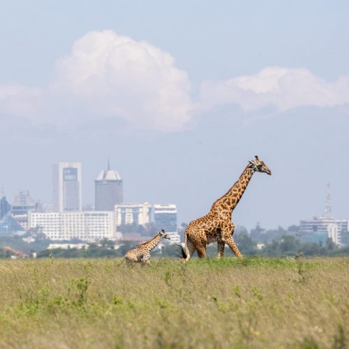 Kenya’s Magic in 20 Days: Itinerary and Joys of Meeting Locals