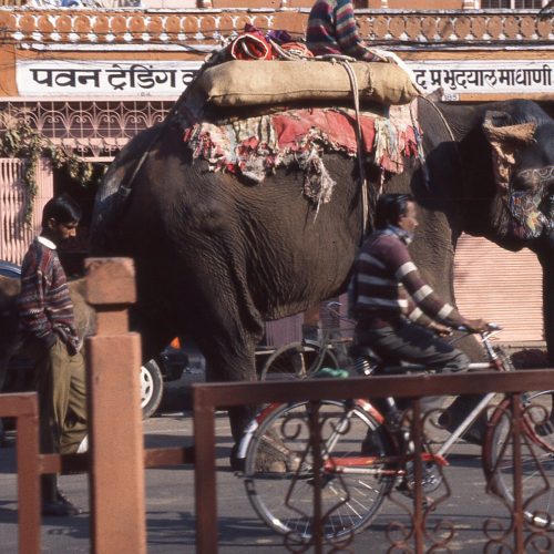 When Plans Fall Apart: Embracing the Unknown in India