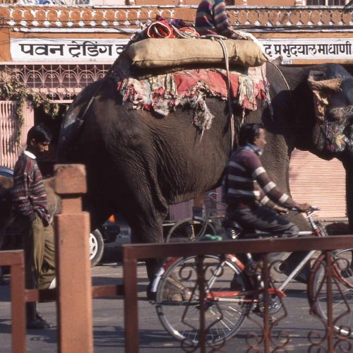 When Plans Fall Apart: Embracing the Unknown in India