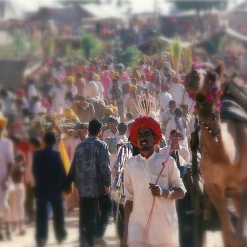 Pushkar Fair: A Fever Dream of Colors and Chaos