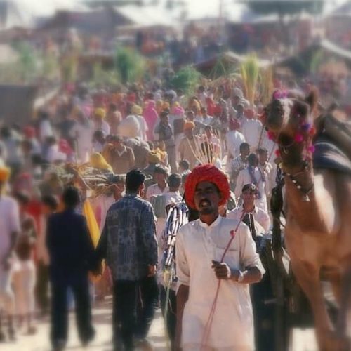 Pushkar Fair: A Fever Dream of Colors and Chaos